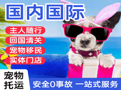 硕放航空快运国际宠物托运 【国